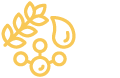 health_icon_4