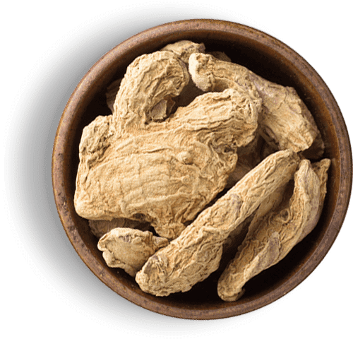 powdorum-web-01 powdorum-web-01