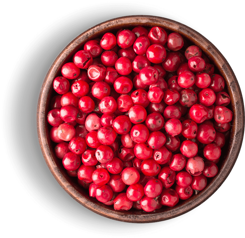 powdorum-web-05